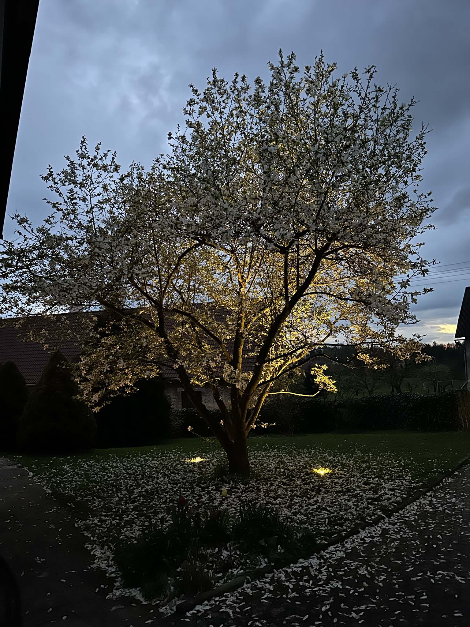 Zahradní osvětlení